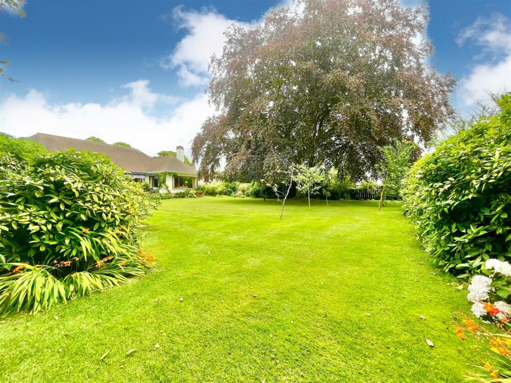 Garden 6.jpg