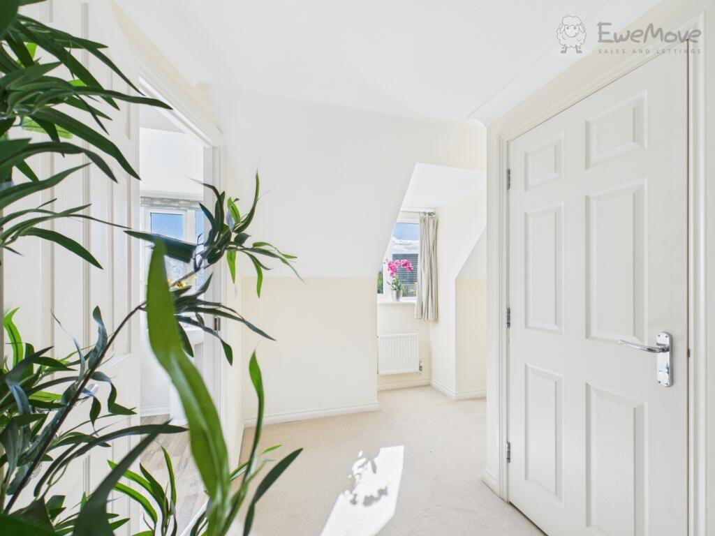 CAM03640G0-PR0065-STILL018