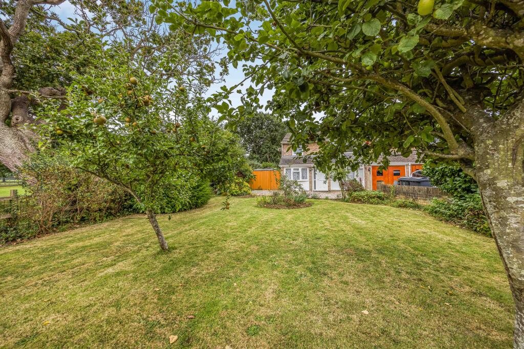 20240911152712340_original [511742370].jpg