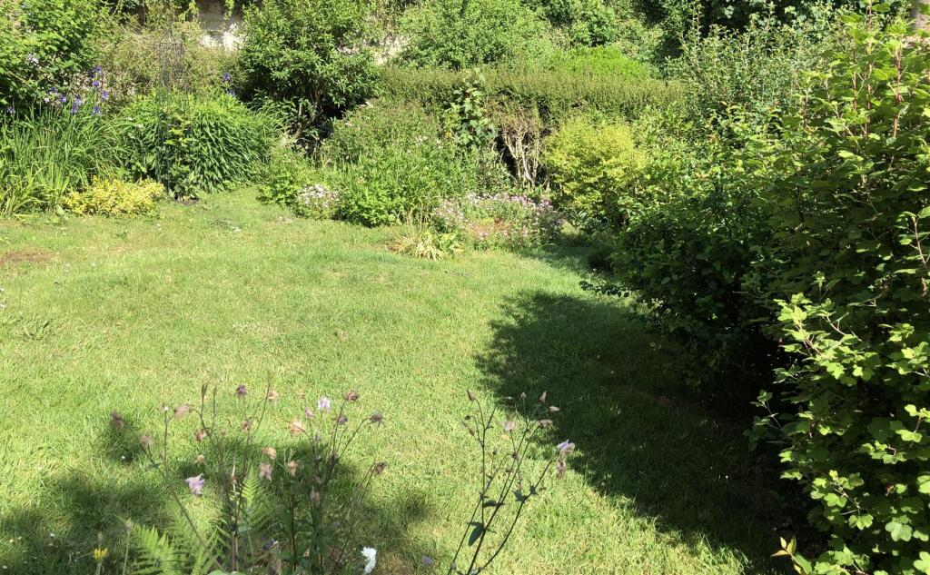 Garden.jpg