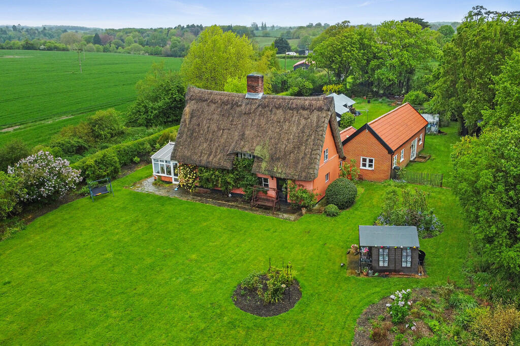 PT-DB(WP)-TheRose...