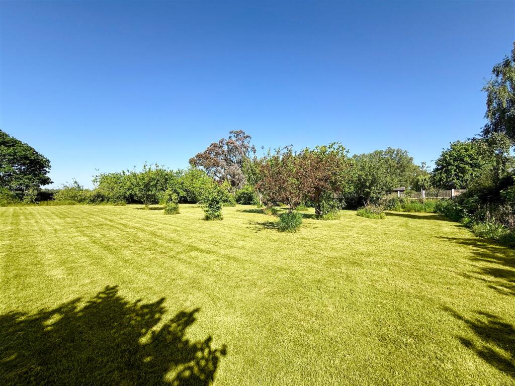 woodland/ orchard