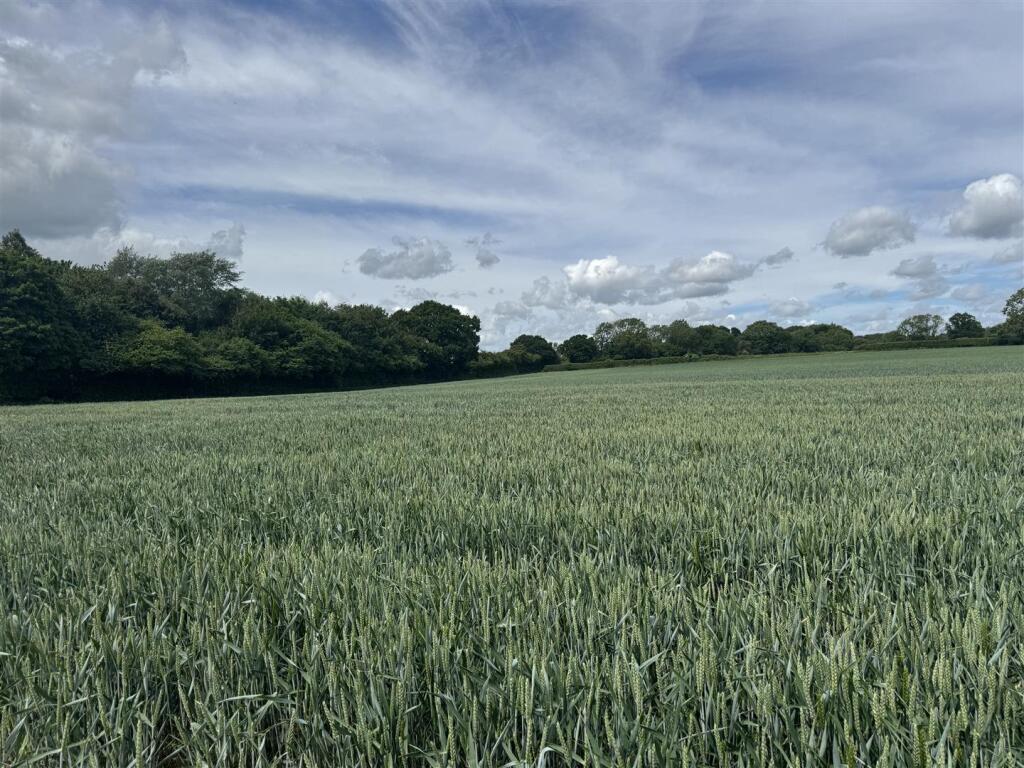 Land at Hinton Martell