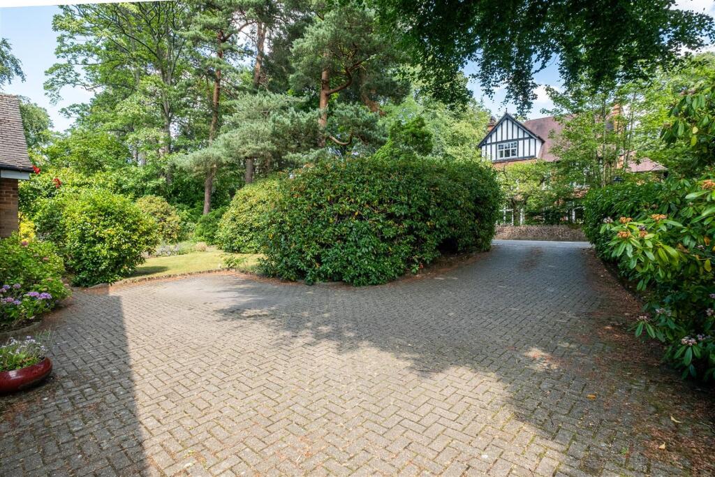 Full size-41 (Large).jpg