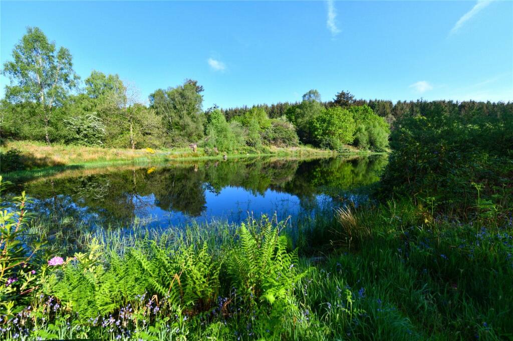 Pond