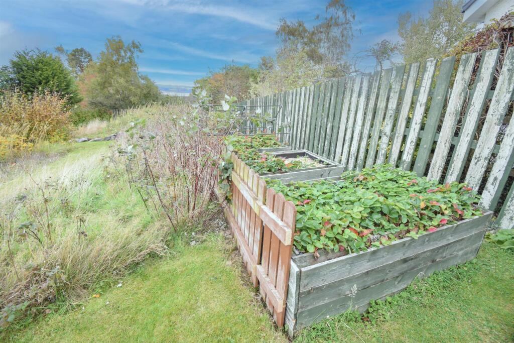 PLANTERS-2..jpg