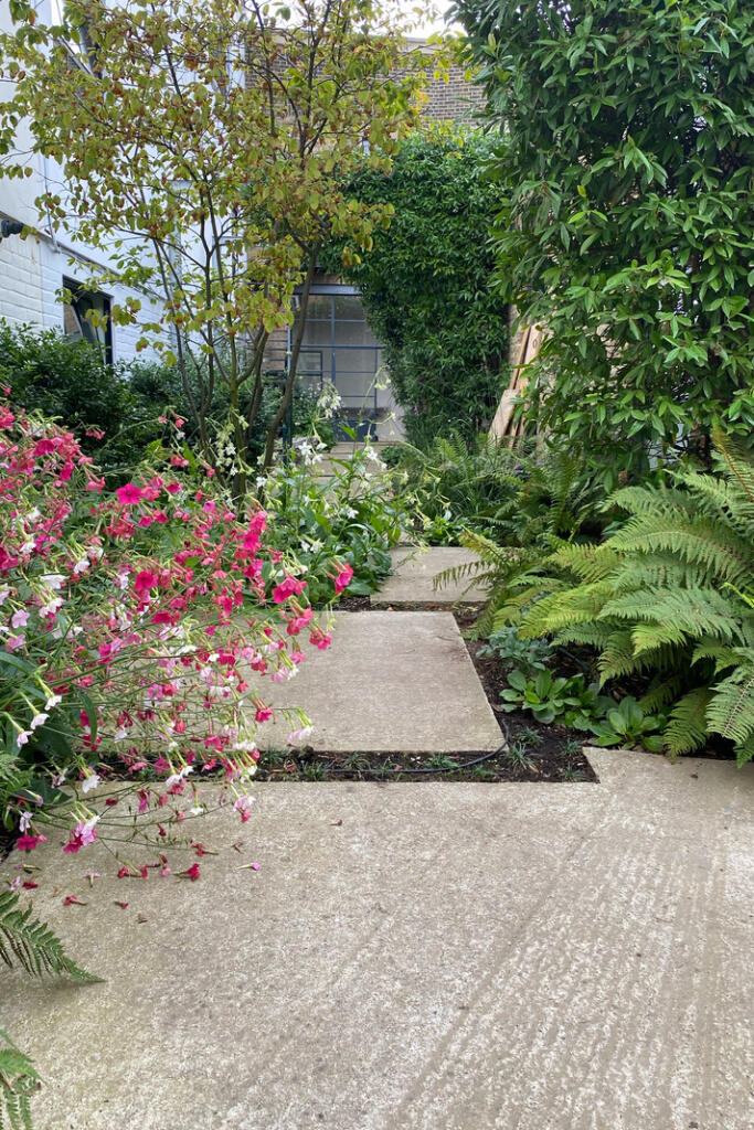 239958 - IMG_1216.jpg