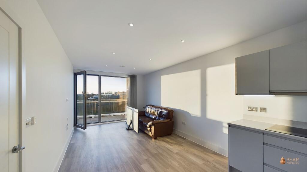 Kitchen/Living Area