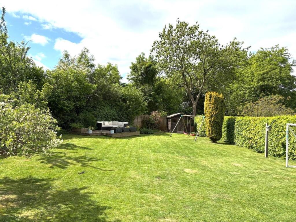 New garden.jpg