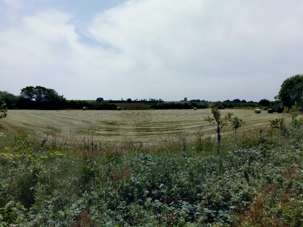 IMG_20250621_1109...