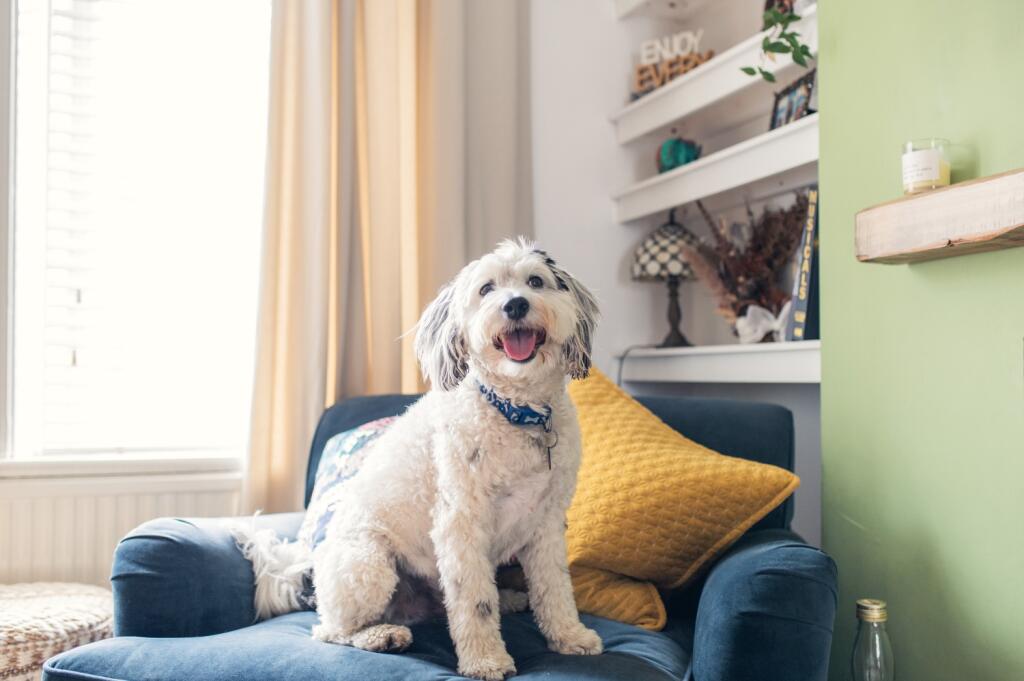 Award-winning media team on EVERY Listing_25