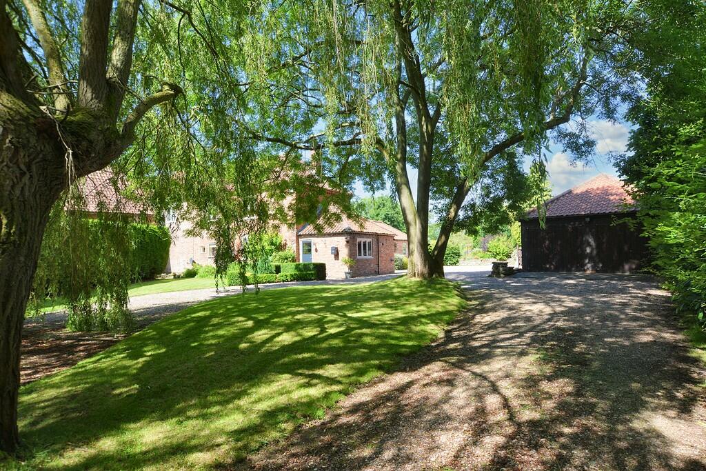 Peace and Tranqui...