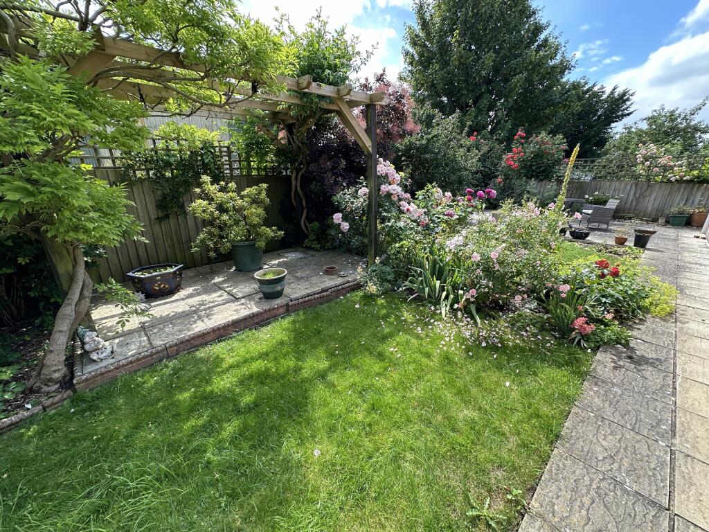 Garden 5.JPG