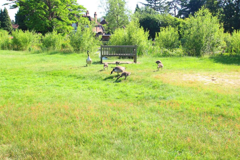 Properties Potten end Life style images 6.jpg