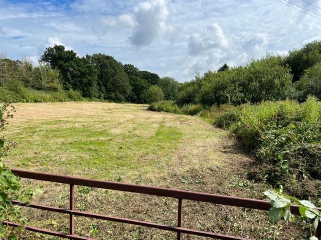Gate to bottom field 2.JPG