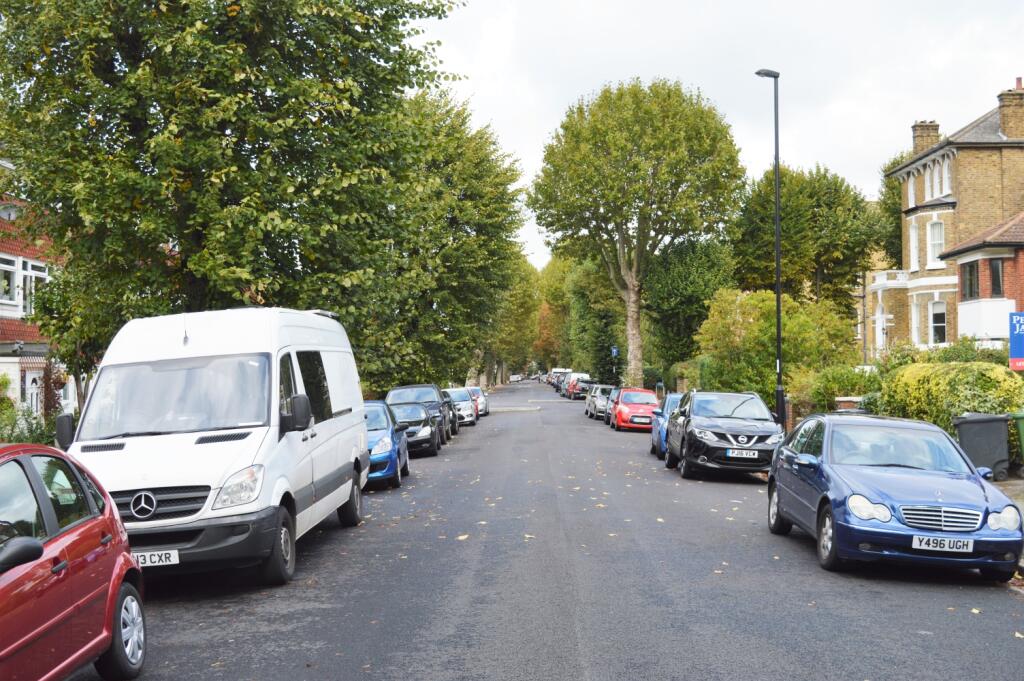 Tree-Lined Street