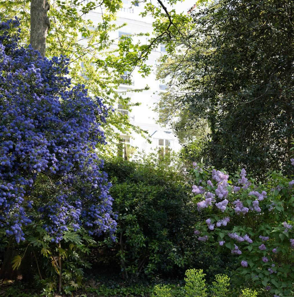 Communal gardens