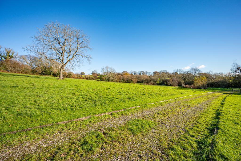 Grounds