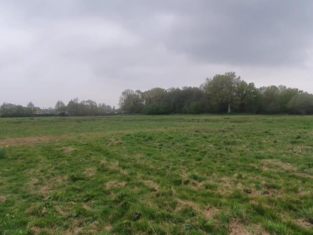 WhatsApp Image 2025-05-05 at 18.31.35 (2).jpeg