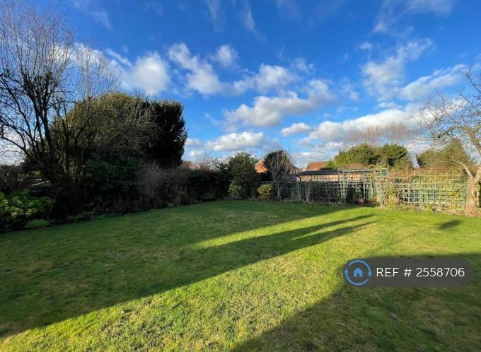 Extensive Garden Back And Side