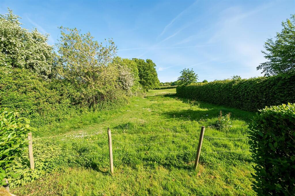 Field