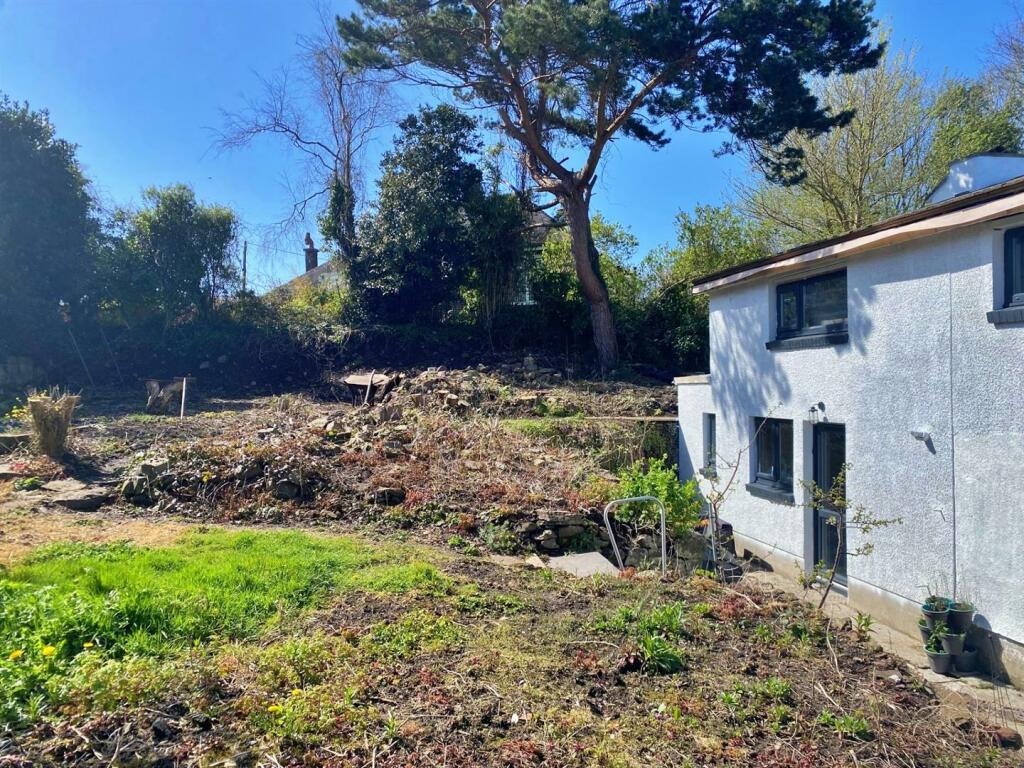 Back garden 2.jpg
