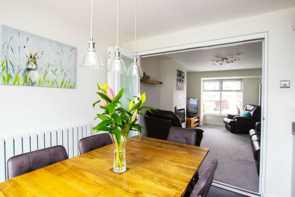 Aster Chase (32).jpg