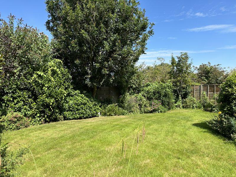 Rear garden