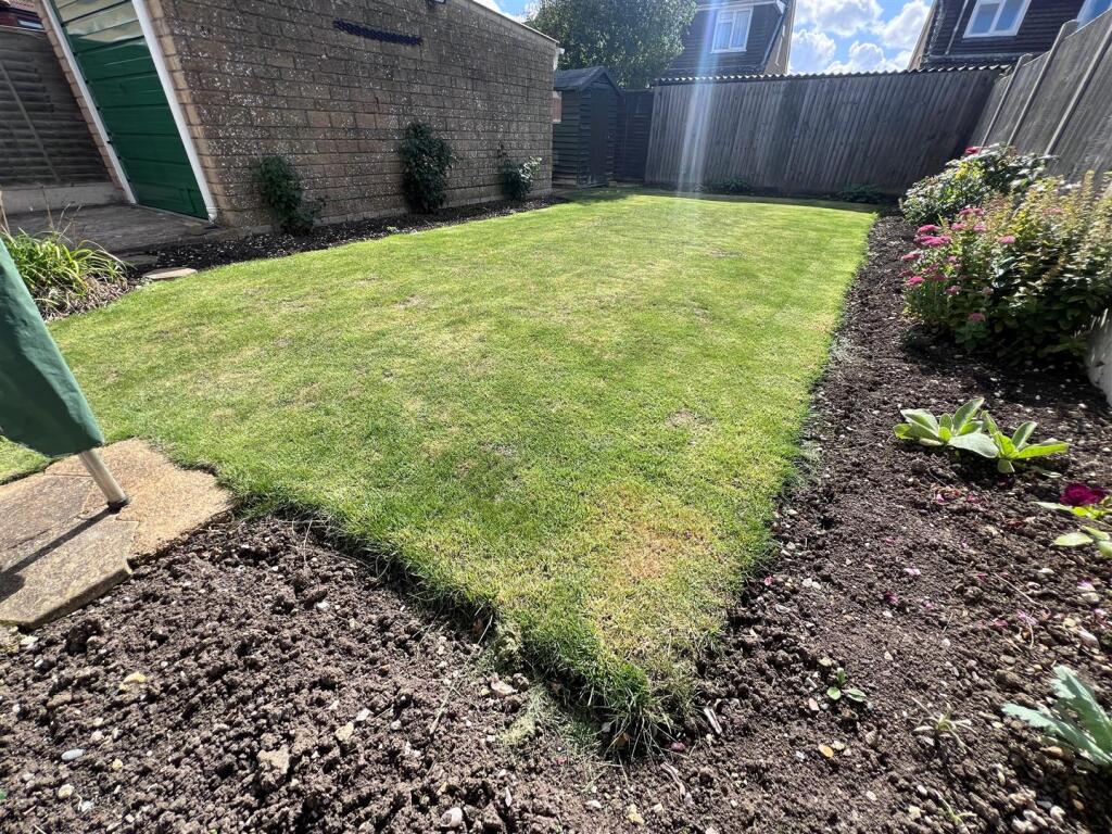 Garden 2.jpg