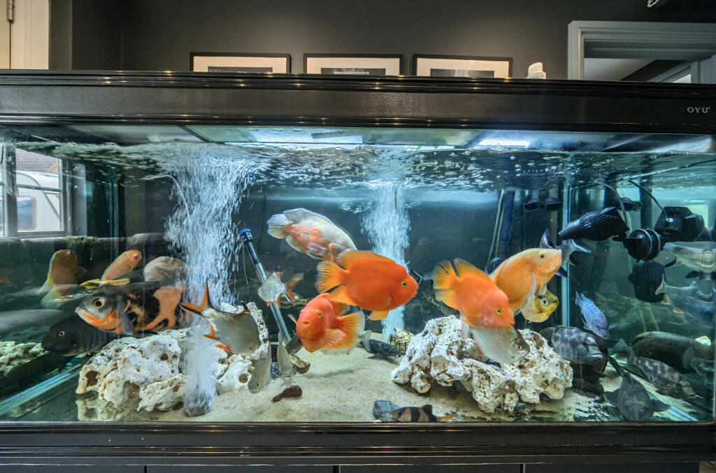 1327566-3-687e1c8...