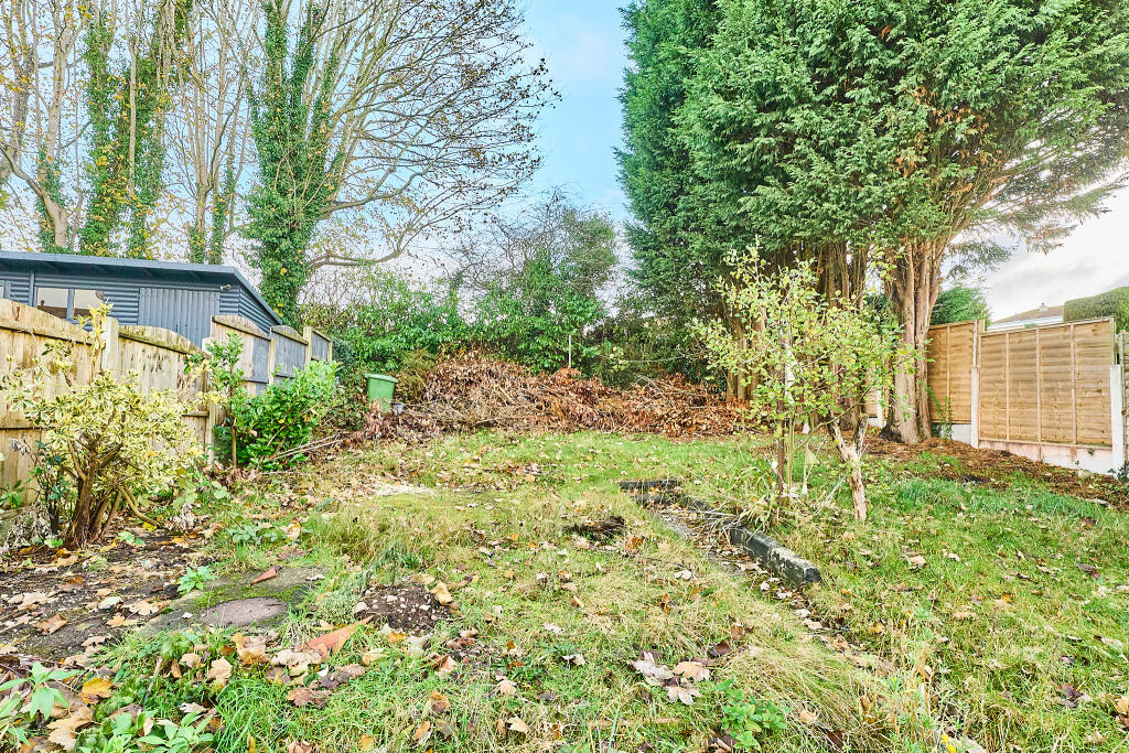 P1617023 T202511191611.jpg