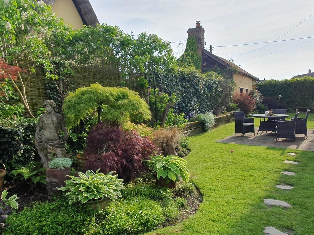 Garden in summer