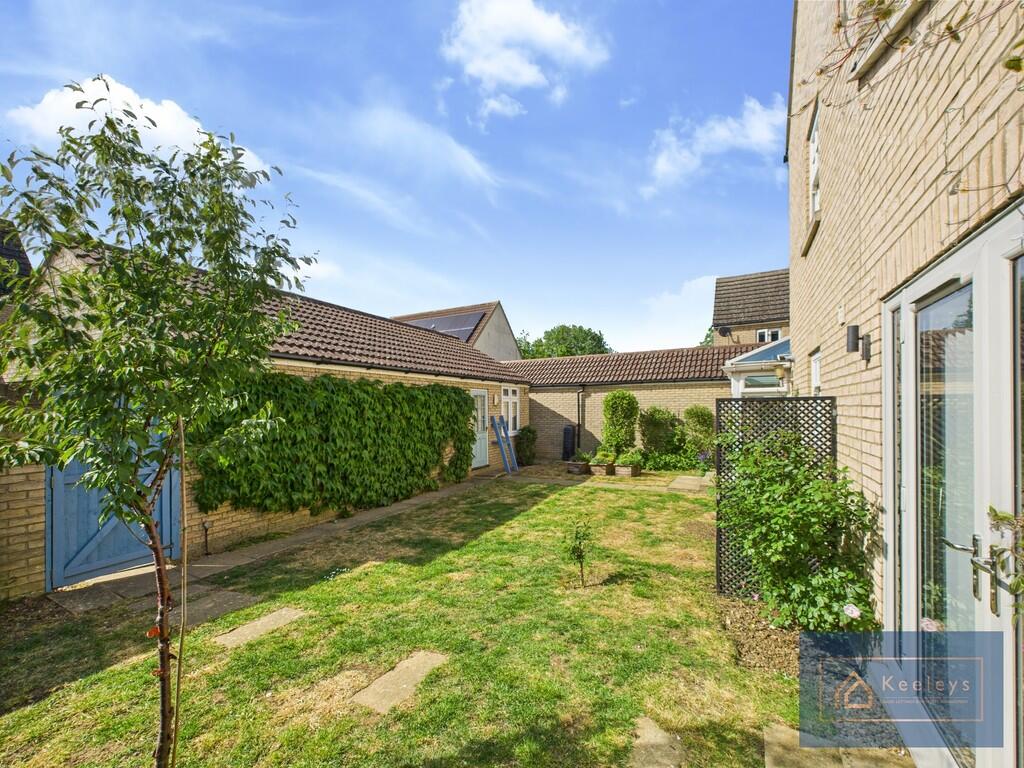 Back garden