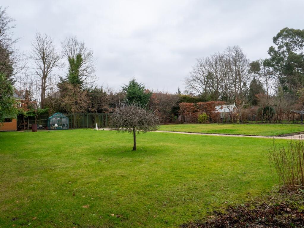 Rear Garden 2