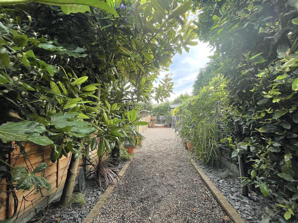 Garden (3).jpeg