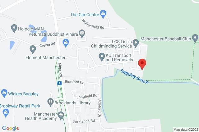 Google Maps Image