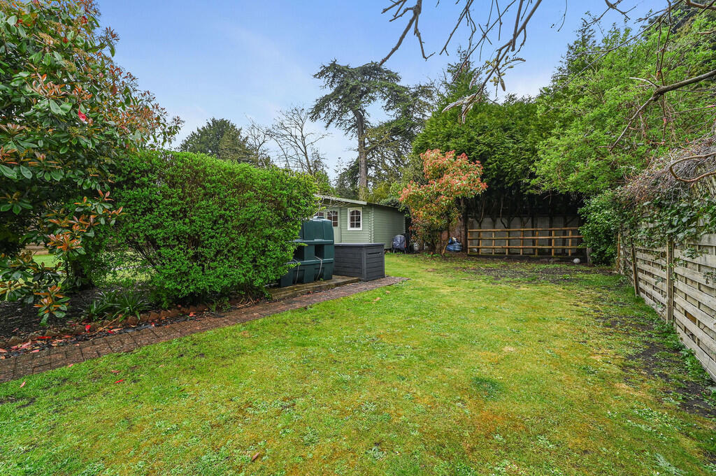 PT-DB(LH)-Rainbow...