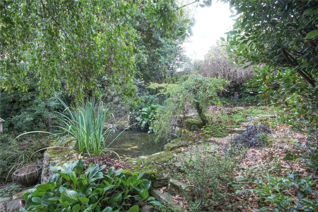 Pond