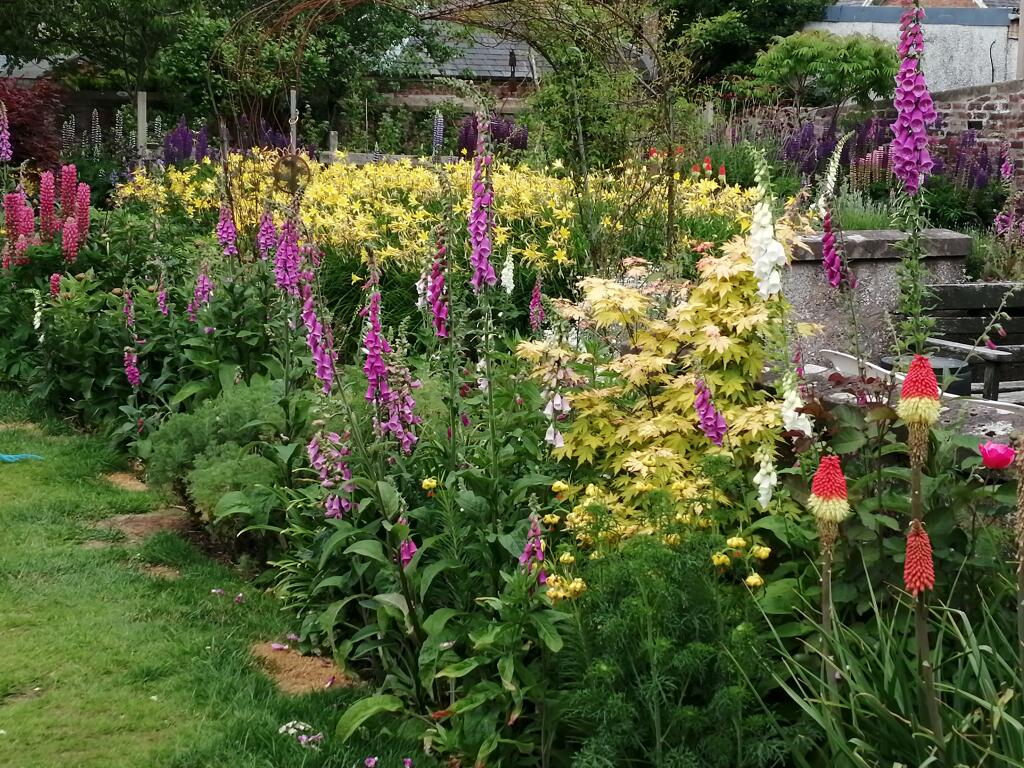 Garden flowers
