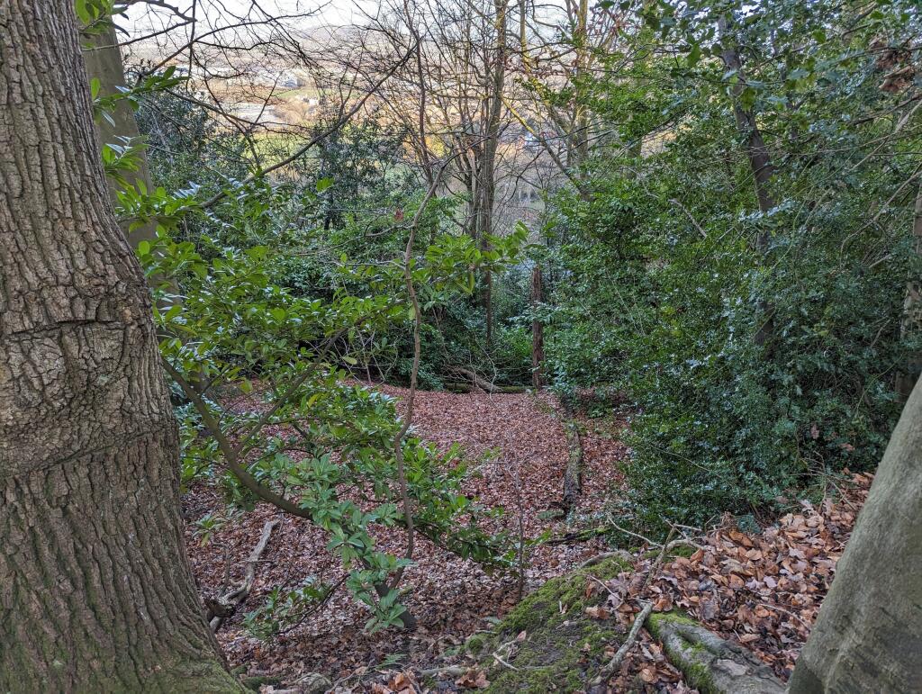 Grove Wood Painswick Road Brockworth GL3 4RU NB 25