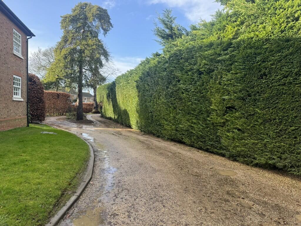 IMG_1400
