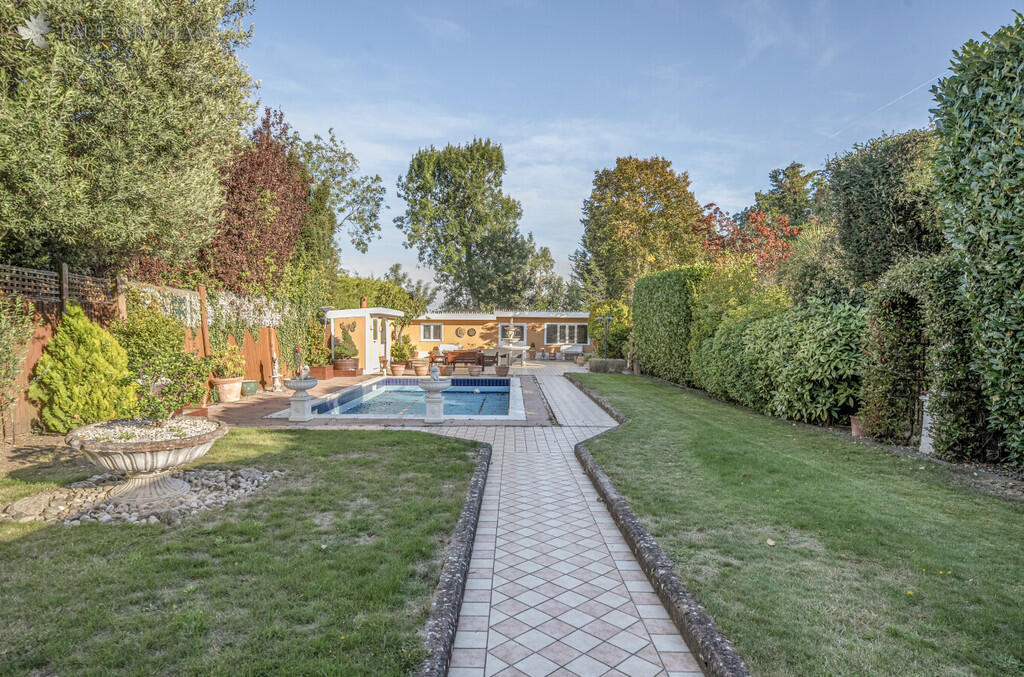 b8d85aea-3892-4ac...