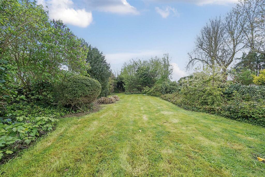 Garden.jpg