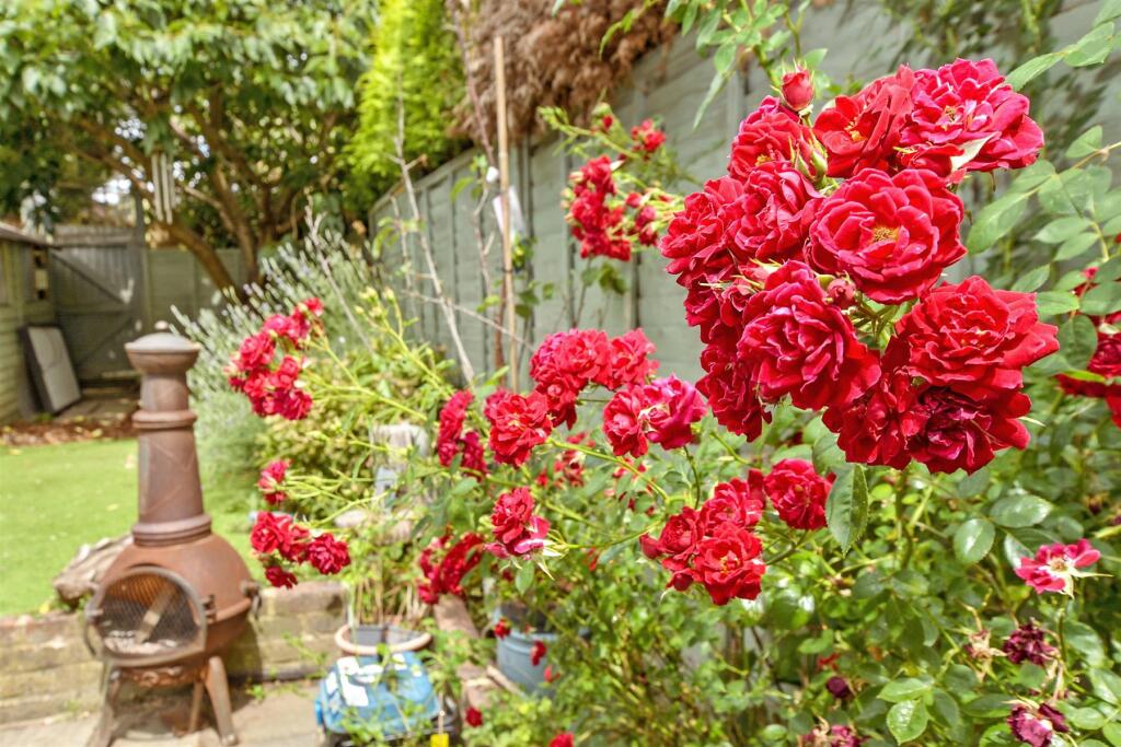 External Lifestyle Photograph