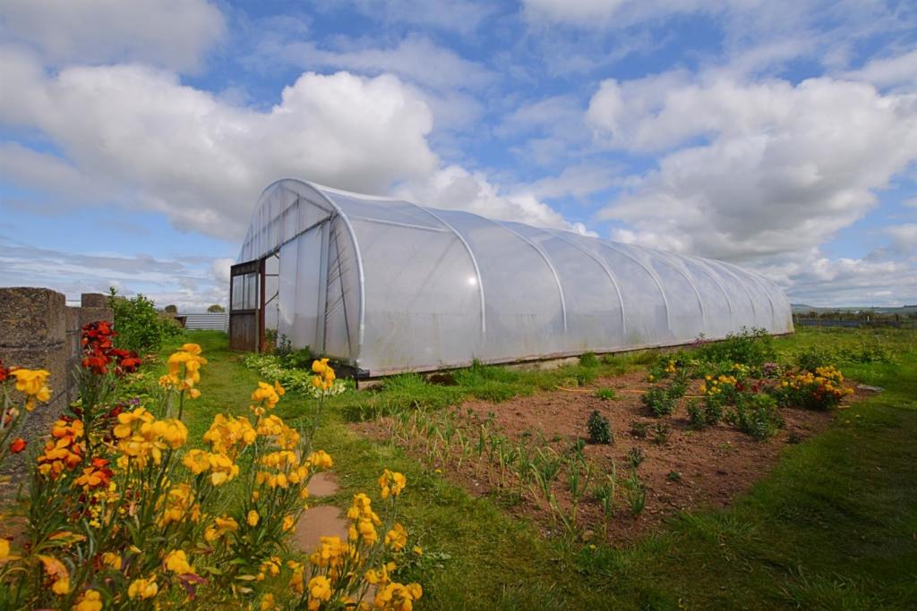 Polytunnel