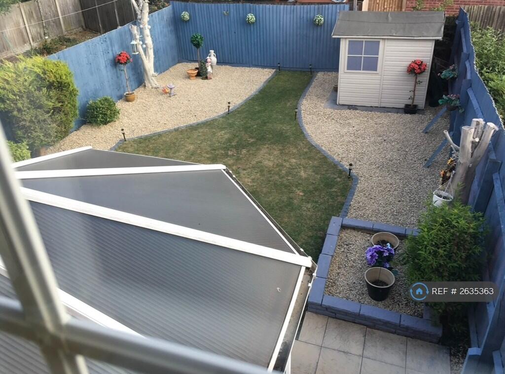 Back Garden