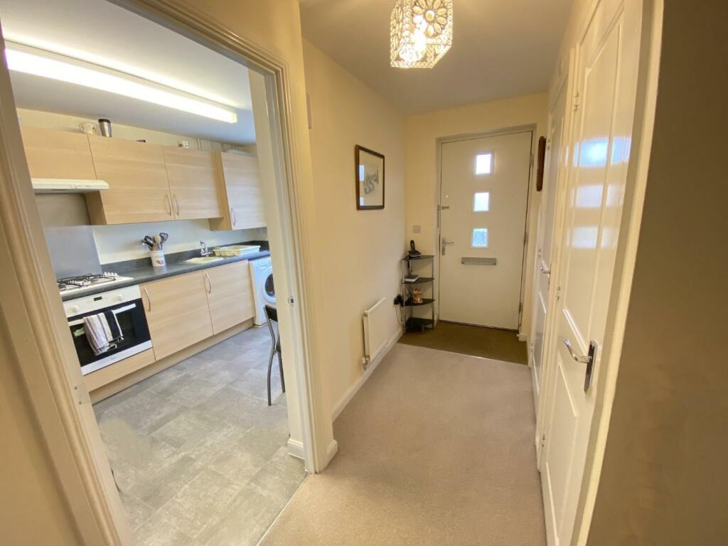 IMG_3045 (Large).JPG