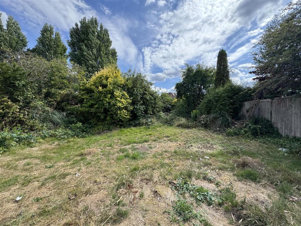 IMG_8650 (Large).JPG