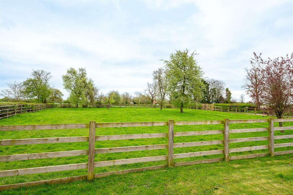 ORCHARD