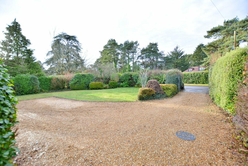 Front garden